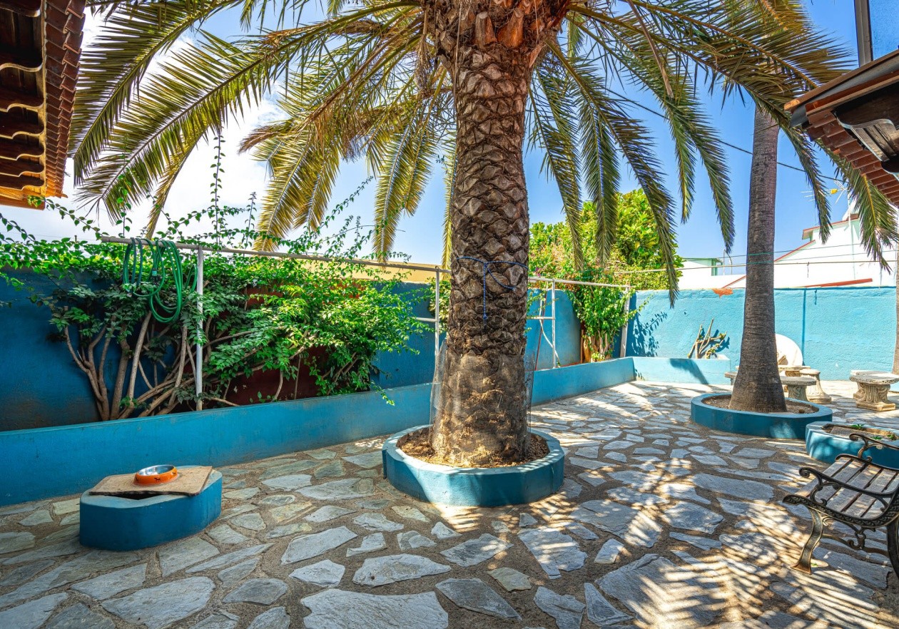 Finca clásica canaria completamente renovada en Icod de Los Vinos