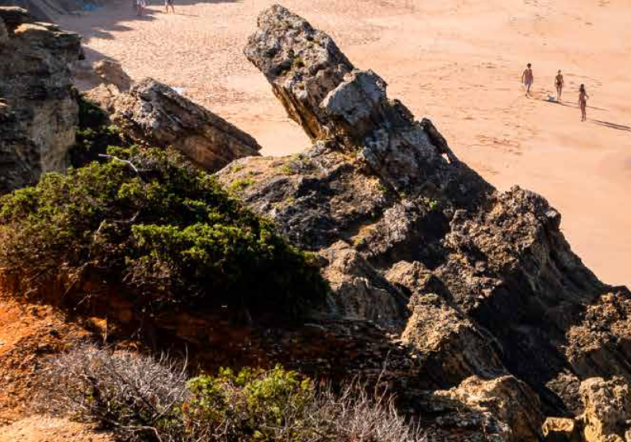 DUNAS DE BARBATE