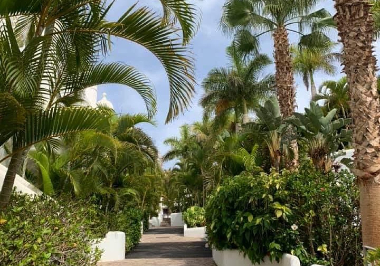 Excelente inversión en Adeje Paradise – VV permitido -  Playa Paraíso