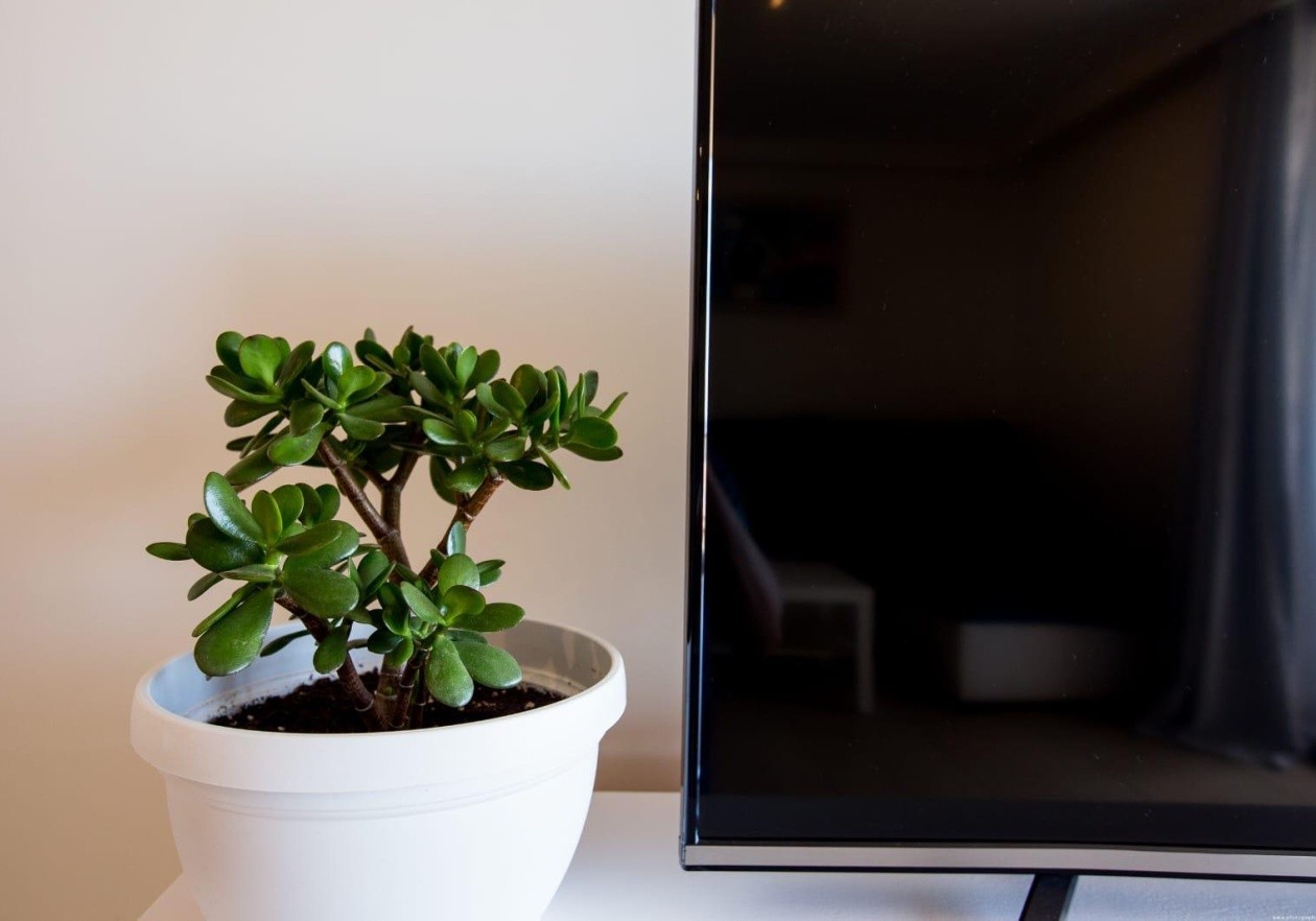 Apartamento de 1 dormitorio con amplia terraza en Palm-Mar - Arona