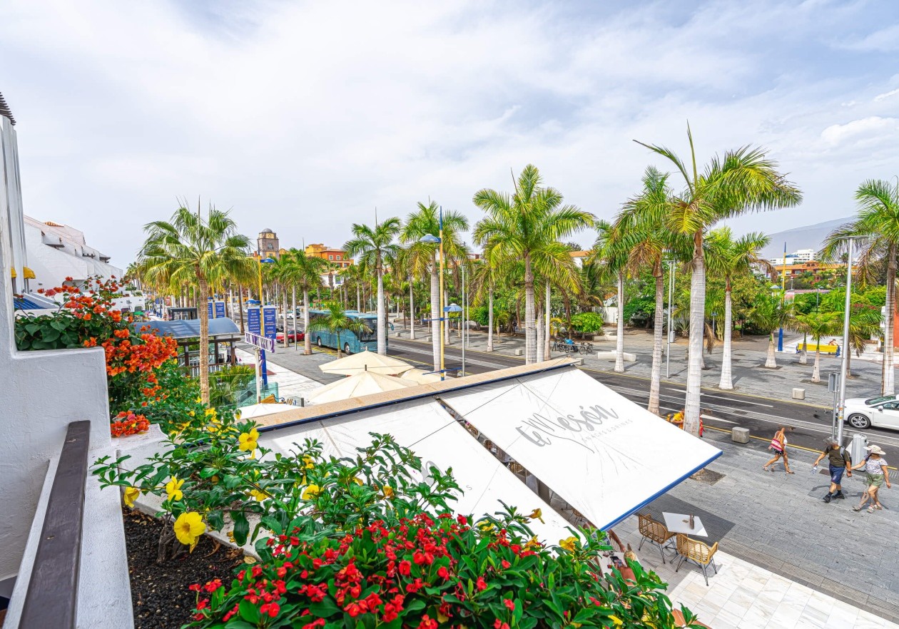 Terrace 4 Studio in first line in Parque Santiago III