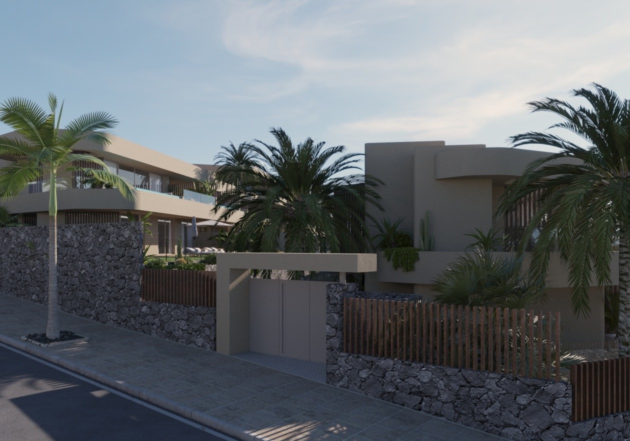 Amoenus New Construction Render 4